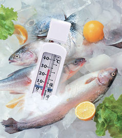 Choix de mesure de thermomètre de congélateur de réfrigérateur d'appareils de cuisine G590 grand
