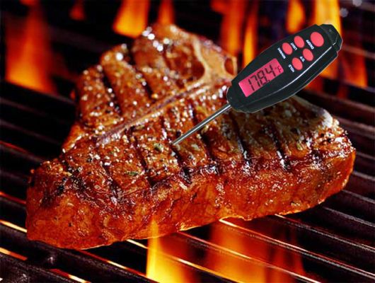 Thermomètre de barbecue d'IPX 4 Digital d'instruments d'essai avec la protection en plastique